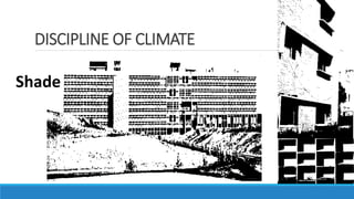 DISCIPLINE OF CLIMATE
Shade
 