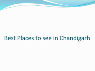 Best Places to see in Chandigarh
 