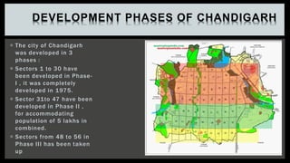DEVELOPMENT PHASES OF CHANDIGARH
 The city of Chandigarh
was developed in 3
phases :
 Sectors 1 to 30 have
been developed in Phase-
I , it was completely
developed in 1975.
 Sector 31to 47 have been
developed in Phase II ,
for accommodating
population of 5 lakhs in
combined.
 Sectors from 48 to 56 in
Phase III has been taken
up
 