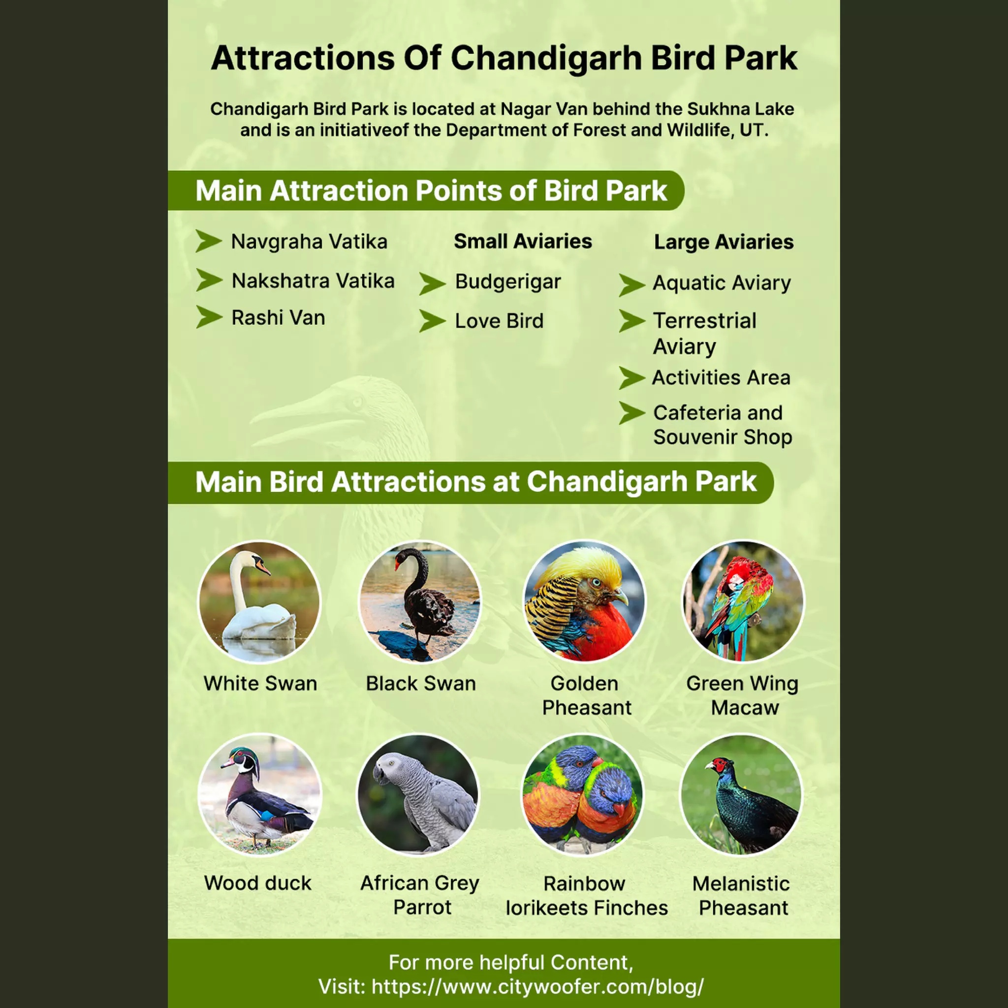 Explore Chandigarh Bird Park Attractions Points