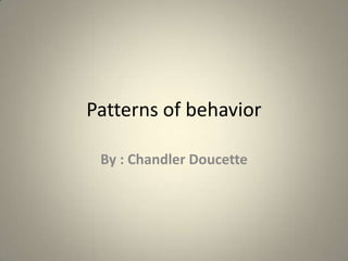 Patterns of behavior

 By : Chandler Doucette
 