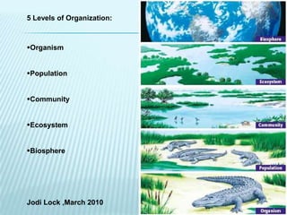 5 Levels of Organization:



Organism


Population


Community


Ecosystem


Biosphere




Jodi Lock ,March 2010
 