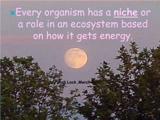 Every organism has a niche or
 a role in an ecosystem based
    on how it gets energy.



         Jodi Lock ,March 2010
 