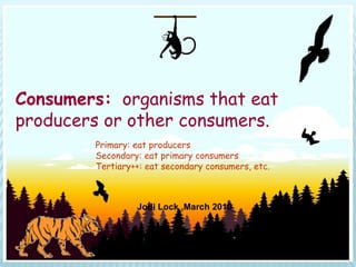 Consumers: organisms that eat
producers or other consumers.
        Primary: eat producers
        Secondary: eat primary consumers
        Tertiary++: eat secondary consumers, etc.



                 Jodi Lock ,March 2010
 