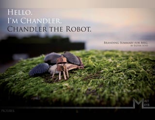 Hello.
I‘m Chandler.
Chandler the Robot.
                      Branding Summary for Meg.
                                     by Eszter Sütő
 
