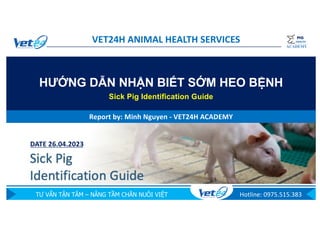 TƯ VẤN TẬN TÂM – NÂNG TẦM CHĂN NUÔI VIỆT Hotline: 0975.515.383
ACADEMY
PIG
HEALTH
1
VET24H ANIMAL HEALTH SERVICES
HƯỚNG DẪN NHẬN BIẾT SỚM HEO BỆNH
Sick Pig Identification Guide
Report by: Minh Nguyen - VET24H ACADEMY
DATE 26.04.2023
 