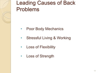 Leading Causes of Back
Problems
• Poor Body Mechanics
• Stressful Living & Working
• Loss of Flexibility
• Loss of Strength
14
 