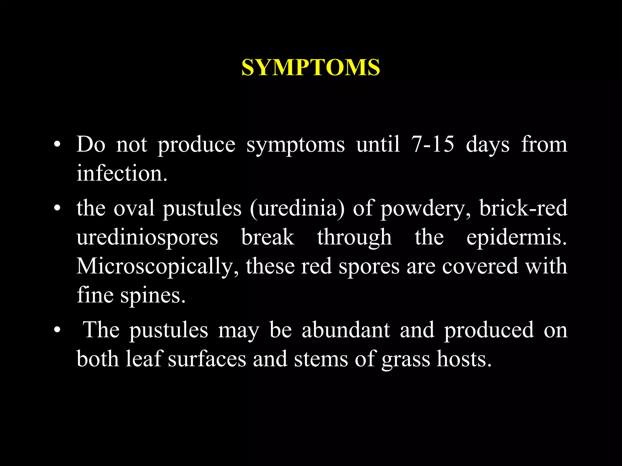 Black stem rust of wheat | PPTX