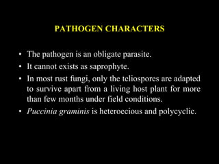 PATHOGEN CHARACTERS
• The pathogen is an obligate parasite.
• It cannot exists as saprophyte.
• In most rust fungi, only the teliospores are adapted
to survive apart from a living host plant for more
than few months under field conditions.
• Puccinia graminis is heteroecious and polycyclic.
 
