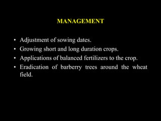 MANAGEMENT
• Adjustment of sowing dates.
• Growing short and long duration crops.
• Applications of balanced fertilizers to the crop.
• Eradication of barberry trees around the wheat
field.
 