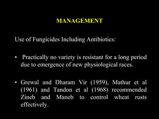 MANAGEMENT
Use of Fungicides Including Antibiotics:
• Practically no variety is resistant for a long period
due to emergence of new physiological races.
• Grewal and Dharam Vir (1959), Mathur et al
(1961) and Tandon et al (1968) recommended
Zineb and Maneb to control wheat rusts
effectively.
 