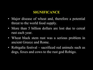 SIGNIFICANCE
• Major disease of wheat and, therefore a potential
threat to the world food supply.
• More than 5 billion dollars are lost due to cereal
rust each year.
• Wheat black stem rust was a serious problem in
ancient Greece and Rome.
• Robigalia festival – sacrificed red animals such as
dogs, foxes and cows to the rust god Robigo.
 