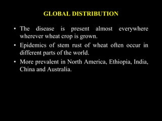GLOBAL DISTRIBUTION
• The disease is present almost everywhere
wherever wheat crop is grown.
• Epidemics of stem rust of wheat often occur in
different parts of the world.
• More prevalent in North America, Ethiopia, India,
China and Australia.
 