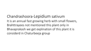 Chandrashoora-Lepidium sativum 
It is an annual fast growing herb with small flowers, 
Brahttrayees not mentioned this plant only in 
Bhavaprakash we get explination of this plant it is 
considerd in Chaturbeeja group 
 