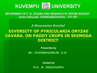 KUVEMPU UNIVERSITY
DEPARTMENT OF P. G. STUDIES AND RESEARCH IN APPLIED BOTANY
Jnana Sahyadri, SHANKARAGHATTA – 577 451
A Dissertation Entitled
DIVERSITY OF PYRICULARIA ORYZAE
CAVARA. ON PADDY CROPS IN SHIMOGA
DISTRICT
Presented by
Mr. CHANDRASHEKAR, D.G.
Guided by
Prof. M. KRISHNAPPA
 