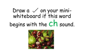 Draw a on your mini-
whiteboard if this word
begins with the ch sound.
 