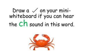 Draw a on your mini-
whiteboard if you can hear
the ch sound in this word.
 