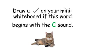 Draw a on your mini-
whiteboard if this word
begins with the c sound.
 