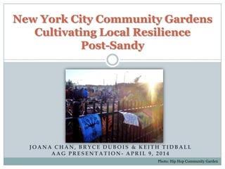 JOANA CHAN, BRYCE DUBOIS & KEITH TIDBALL
AAG PRESENTATION - APRIL 9, 2014
New York City Community Gardens
Cultivating Local Resilience
Post-Sandy
Photo: Hip Hop Community Garden
 