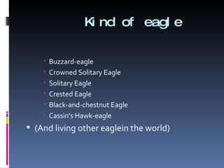 Kind of eagle Buzzard-eagle Crowned Solitary Eagle Solitary Eagle Crested Eagle Black-and-chestnut Eagle Cassin's Hawk-eagle (And living other eaglein the world) 
