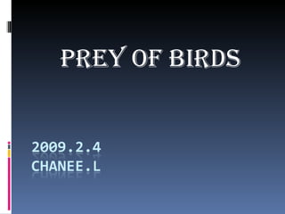 Prey Of Birds 
