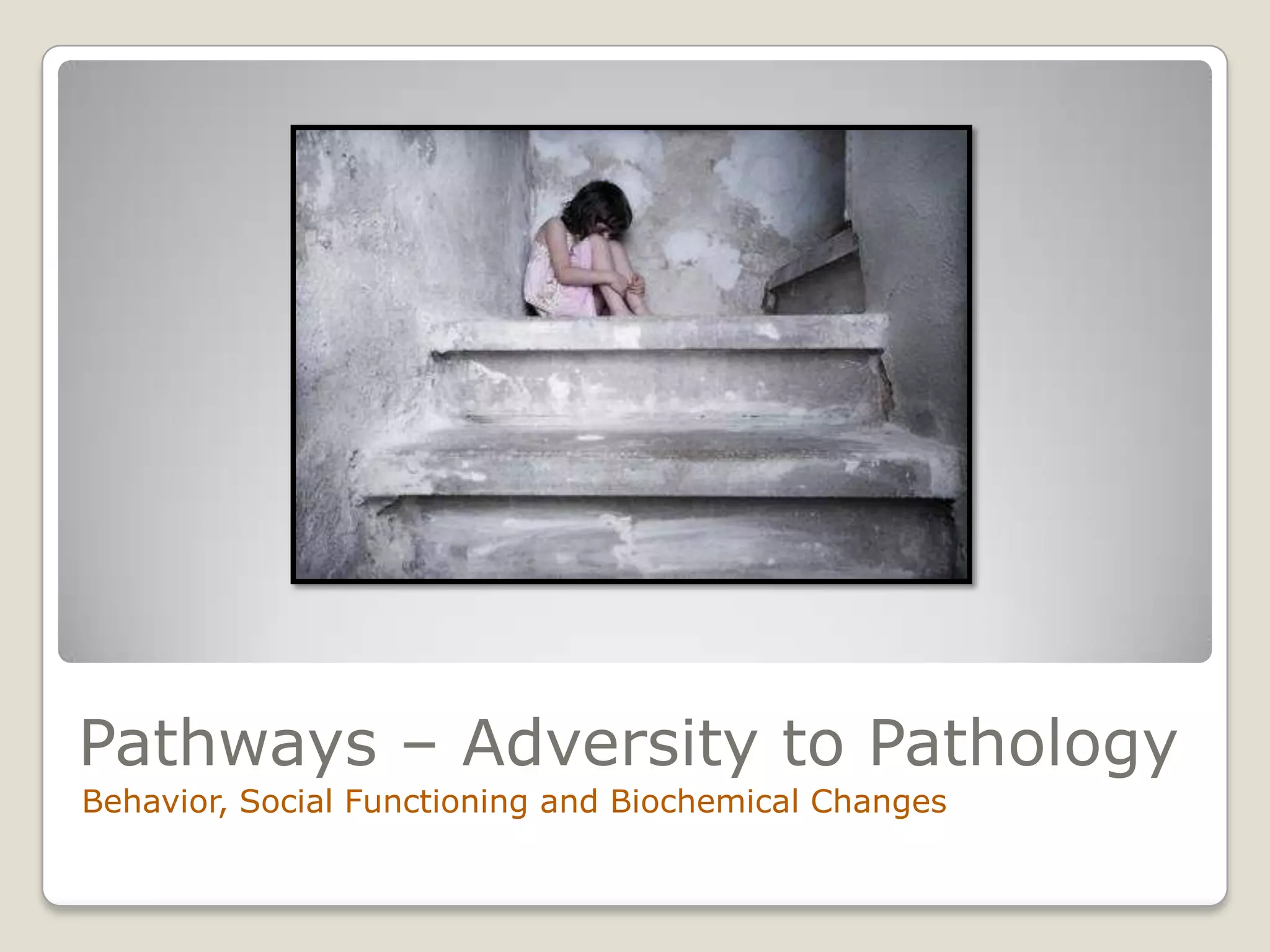 Pathways – Adversity to Pathology
Behavior, Social Functioning and Biochemical Changes
 