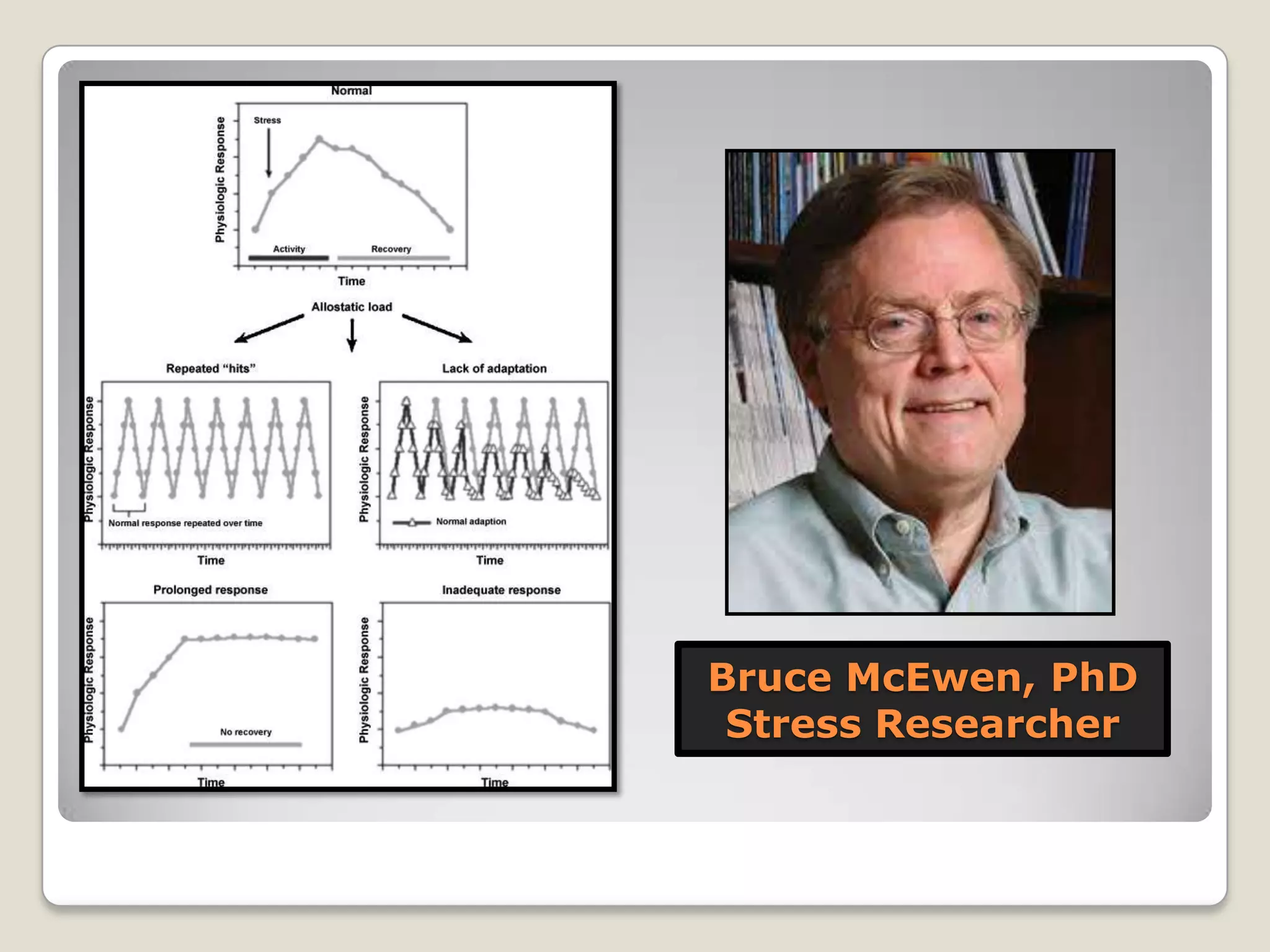 Bruce McEwen, PhD
Stress Researcher
 