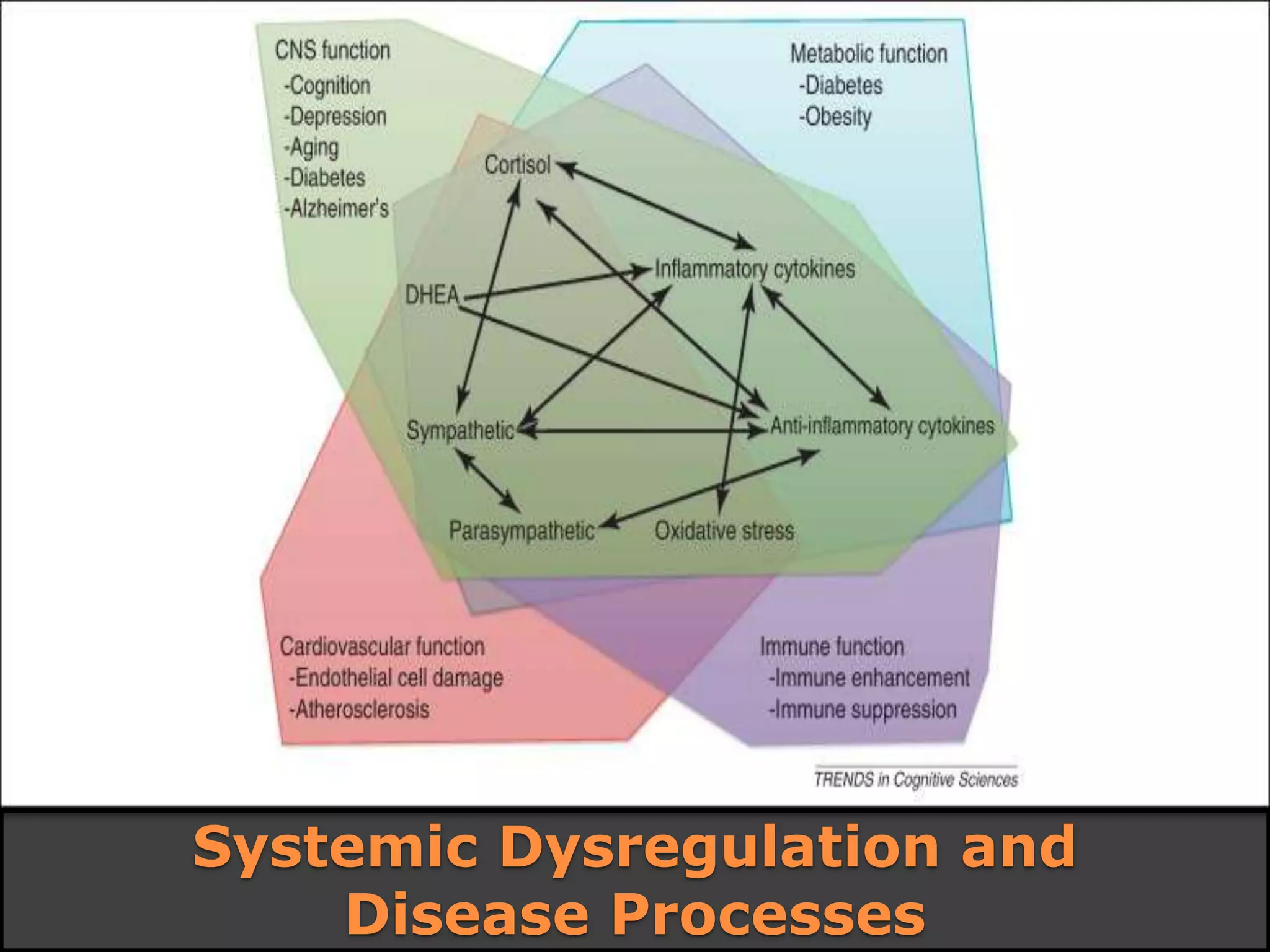 Systemic Dysregulation and
Disease Processes
 