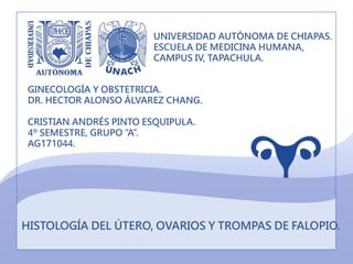 UNIVERSIDAD AUTÓNOMA DE CHIAPAS.
ESCUELA DE MEDICINA HUMANA,
CAMPUS IV, TAPACHULA.
HISTOLOGÍA DEL ÚTERO, OVARIOS Y TROMPAS DE FALOPIO.
GINECOLOGÍA Y OBSTETRICIA.
DR. HECTOR ALONSO ÁLVAREZ CHANG.
CRISTIAN ANDRÉS PINTO ESQUIPULA.
4º SEMESTRE, GRUPO ”A”.
AG171044.
 