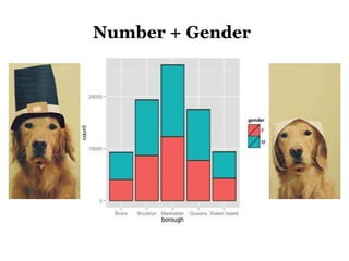 Number + Gender
 
