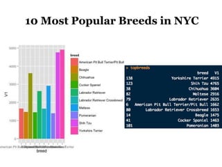 10 Most Popular Breeds in NYC
 