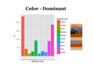 Color - Dominant
 