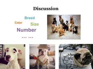 Discussion
Color
Breed
Size
Number
… …
 