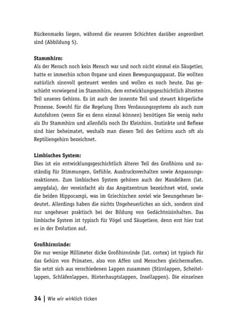 Rückenmarks liegen, während die neueren Schichten darüber angeordnet
sind (Abbildung 5).

Stammhirn:
Als der Mensch noch kein Mensch war und noch nicht einmal ein Säugetier,
hatte er immerhin schon Organe und einen Bewegungsapparat. Die wollten
natürlich sinnvoll gesteuert werden und wollen es noch heute. Das ge-
schieht vorwiegend im Stammhirn, dem entwicklungsgeschichtlich ältesten
Teil unseres Gehirns. Es ist auch der innerste Teil und steuert körperliche
Prozesse. Sowohl für die Regelung Ihres Verdauungssystems als auch zum
Autofahren (wenn Sie es denn einmal können) benötigen Sie wenig mehr
als Ihr Stammhirn und allenfalls noch Ihr Kleinhirn. Instinkte und Reflexe
sind hier beheimatet, weshalb man diesen Teil des Gehirns auch oft als
Reptiliengehirn bezeichnet.

Limbisches System:
Dies ist ein entwicklungsgeschichtlich älterer Teil des Großhirns und zu-
ständig für Stimmungen, Gefühle, Ausdrucksverhalten sowie Anpassungs-
reaktionen. Zum limbischen System gehören auch der Mandelkern (lat.
amygdala), der vereinfacht als das Angstzentrum bezeichnet wird, sowie
die beiden Hippocampi, was im Griechischen soviel wie Seeungeheuer be-
deutet. Allerdings haben die nichts Ungeheuerliches an sich, sondern sind
nur ungeheuer praktisch bei der Bildung von Gedächtnisinhalten. Das
limbische System ist typisch für Vögel und Säugetiere, denn erst hier trat
es in der Evolution auf.

Großhirnrinde:
Die nur wenige Millimeter dicke Großhirnrinde (lat. cortex) ist typisch für
das Gehirn von Primaten, also von Affen und Menschen gleichermaßen.
Sie setzt sich aus verschiedenen Lappen zusammen (Stirnlappen, Scheitel-
lappen, Schläfenlappen, Hinterhauptslappen, Insellappen). Die einzelnen



34 | Wie wir wirklich ticken
 
