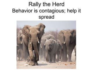Rally the Herd
Behavior is contagious; help it
spread
 