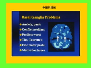 中腦與情緒
 