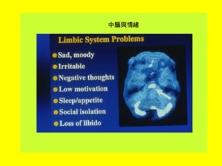 中腦與情緒
 
