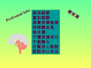 Prefrontal lobe
疏忽細節
重犯錯誤
做事有頭無尾
時間觀念差
無目標
不懂表達自己
不能專心
打斷別人說話
說話沖口而出
額
前
葉
 