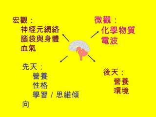 微觀：
化學物質
電波
宏觀：
神經元網絡
腦袋與身體
血氣
先天：
營養
性格
學習／思維傾
向
後天：
營養
環境
 