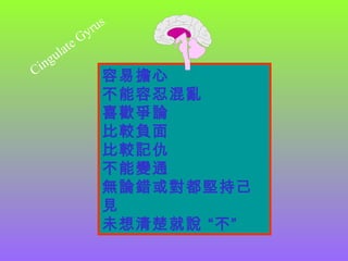 容易擔心
不能容忍混亂
喜歡爭論
比較負面
比較記仇
不能變通
無論錯或對都堅持己
見
未想清楚就說 “不”
Cingulate Gyrus
 