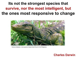 Its not the strongest species that survive, nor the most intelligent, butthe ones most responsive to change Varanusbitatawa, a new species of giant lizard found in the Philippines Charles Darwin 