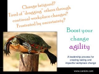 ONTARGET
Boost your
change
agility
A leadership process for
creating lasting and
impactful workplace change
www.carolev.com
 