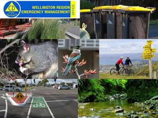 Councils have
multiple
roles…
3
 