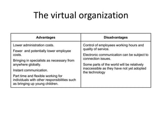 The virtual organization
 