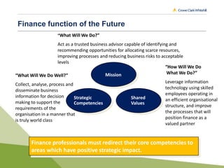 Change and the Finance Function | PDF