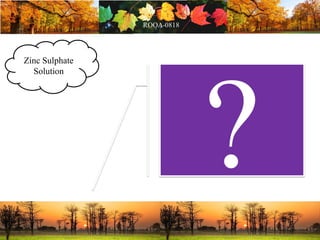 Zinc Sulphate
Solution
 