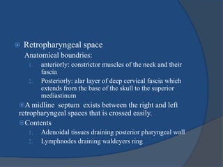  Retropharyngeal space
Anatomical boundries:
1. anteriorly: constrictor muscles of the neck and their
fascia
2. Posteriorly: alar layer of deep cervical fascia which
extends from the base of the skull to the superior
mediastinum
A midline septum exists between the right and left
retropharyngeal spaces that is crossed easily.
Contents
1. Adenoidal tissues draining posterior pharyngeal wall
2. Lymphnodes draining waldeyers ring
 