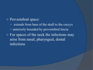  Prevertebral space:
 extends from base of the skull to the coccyx
 anteriorly bounded by prevertebral fascia
 For spaces of the neck the infections may
arise from nasal, pharyngeal, dental
infections
 