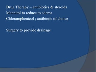 Drug Therapy – antibiotics & steroids
Mannitol to reduce to edema
Chloramphenicol ; antibiotic of choice
Surgery to provide drainage
 