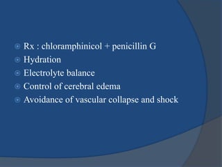  Rx : chloramphinicol + penicillin G
 Hydration
 Electrolyte balance
 Control of cerebral edema
 Avoidance of vascular collapse and shock
 